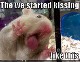 funny-pictures-hamster-kiss