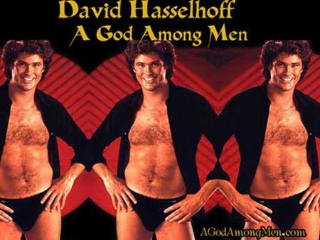 David Hasselhoff aka The Hoff or A God Among Men