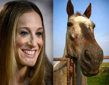 Sarah Jessica Parker Horse 1