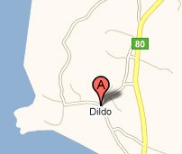 dildo-newfoundland