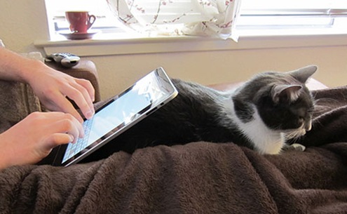 iPad-Stand-Cat